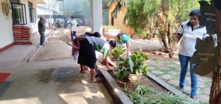 Home gardening program implemented in the office premises